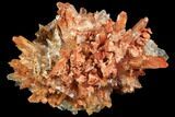 Orange Creedite Crystal Cluster - Durango, Mexico #84220-1